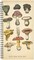 Fungi Files Academic Year July 2026 - June 2027 3.5" x 6.5" Softcover Weekly Spiral Planner